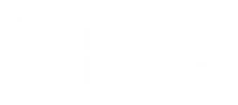 bilişim kriminal